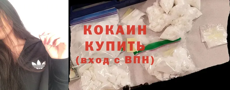 MEGA вход  Городовиковск  Cocaine Fish Scale 